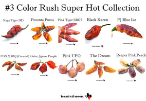 Color Rush Super Hot Seed Collections - 3 different collections of 10 varieties each!