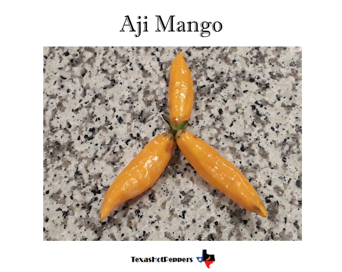 Aji Mango – Texas Hot Peppers