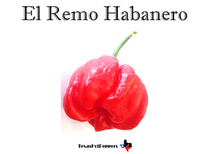 Habanero Seed Collection - 10 Different Varieties