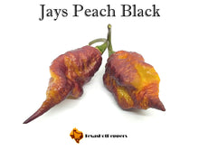 Load image into Gallery viewer, Jays Peach Black