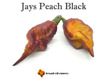 Load image into Gallery viewer, Jays Peach Black