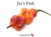 Load image into Gallery viewer, Jay's Pink