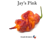 Load image into Gallery viewer, Jay's Pink