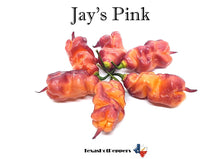 Load image into Gallery viewer, Jay's Pink