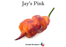 Load image into Gallery viewer, Jay's Pink