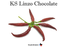 Load image into Gallery viewer, KS Linzo Chocolate