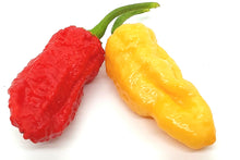 Load image into Gallery viewer, Lava Scorpion Peach