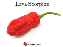 Load image into Gallery viewer, Lava Scorpion