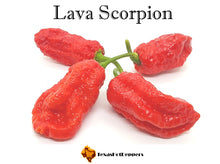 Load image into Gallery viewer, Lava Scorpion