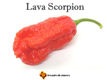 Load image into Gallery viewer, Lava Scorpion