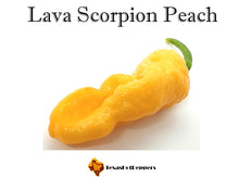 Load image into Gallery viewer, Lava Scorpion Peach