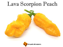Load image into Gallery viewer, Lava Scorpion Peach