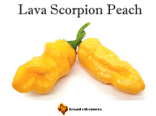 Load image into Gallery viewer, Lava Scorpion Peach