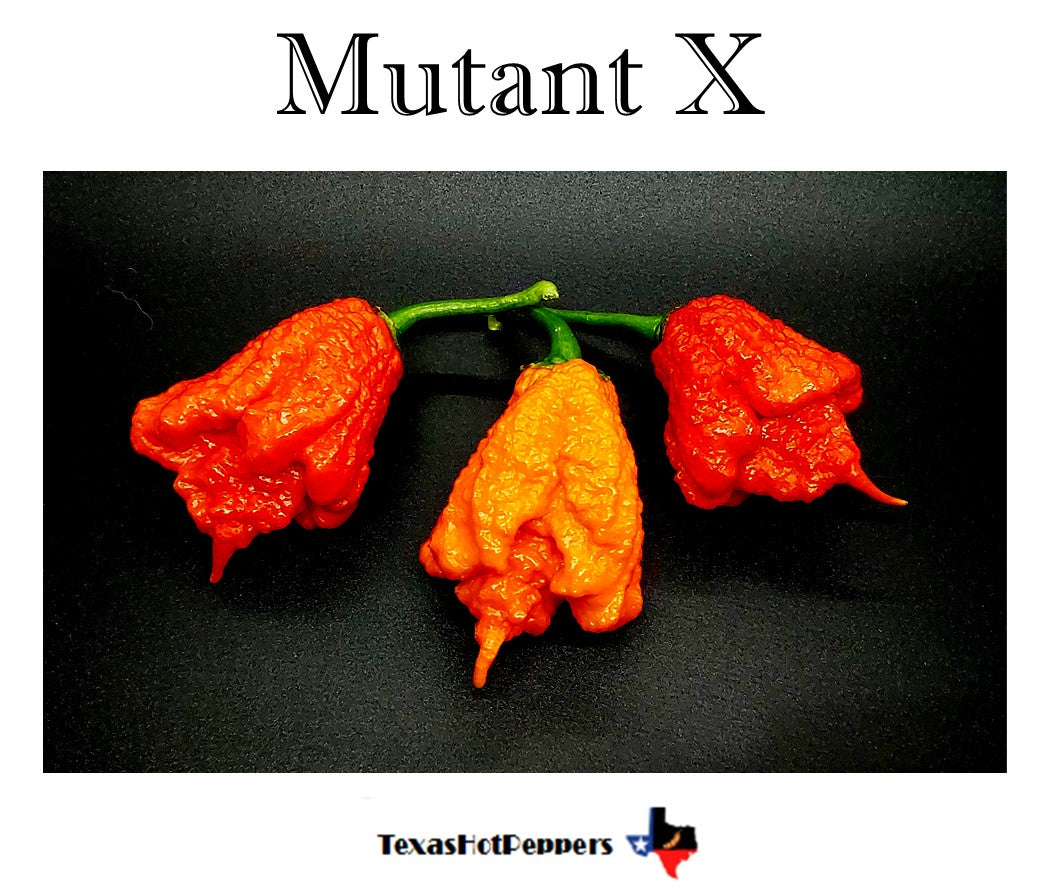 Mutant X – Texas Hot Peppers