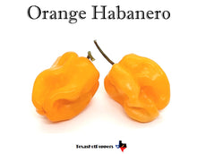 Load image into Gallery viewer, Habanero Seed Collection - 10 Different Varieties