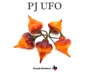 PJ UFO