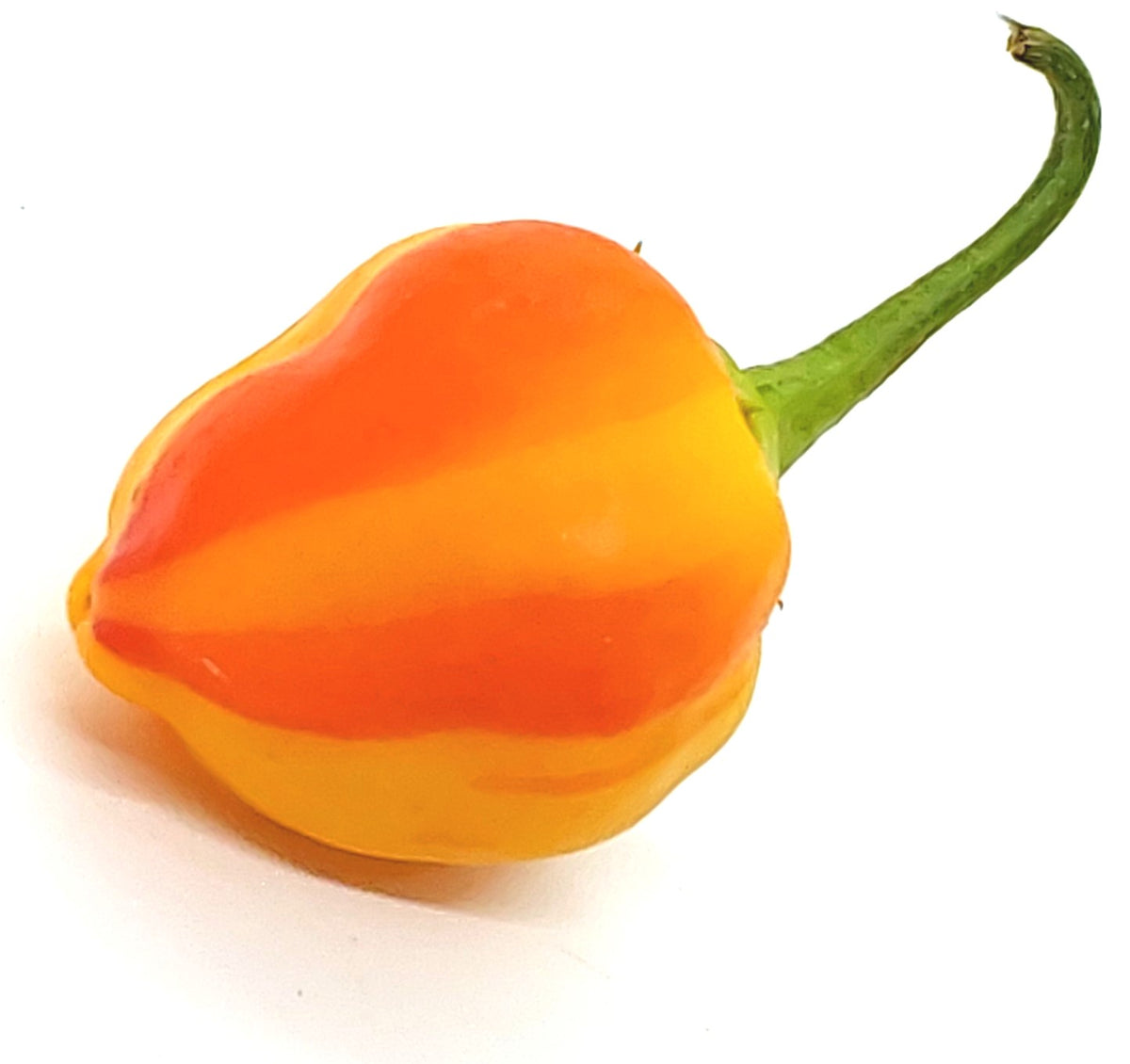 Peppapeach Stripey – Texas Hot Peppers