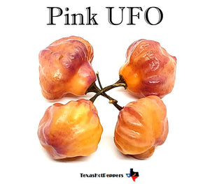 Pink UFO