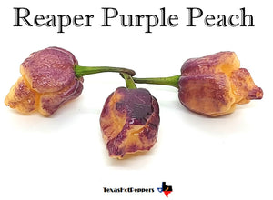 Reaper Purple Peach