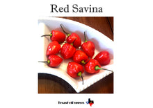 Load image into Gallery viewer, Habanero Seed Collection - 10 Different Varieties