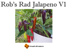 Load image into Gallery viewer, Rob's Rad Jalapeno V1