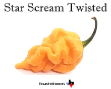 Load image into Gallery viewer, Star Scream Twisted