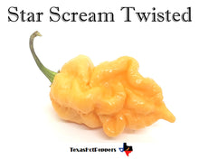 Load image into Gallery viewer, Star Scream Twisted