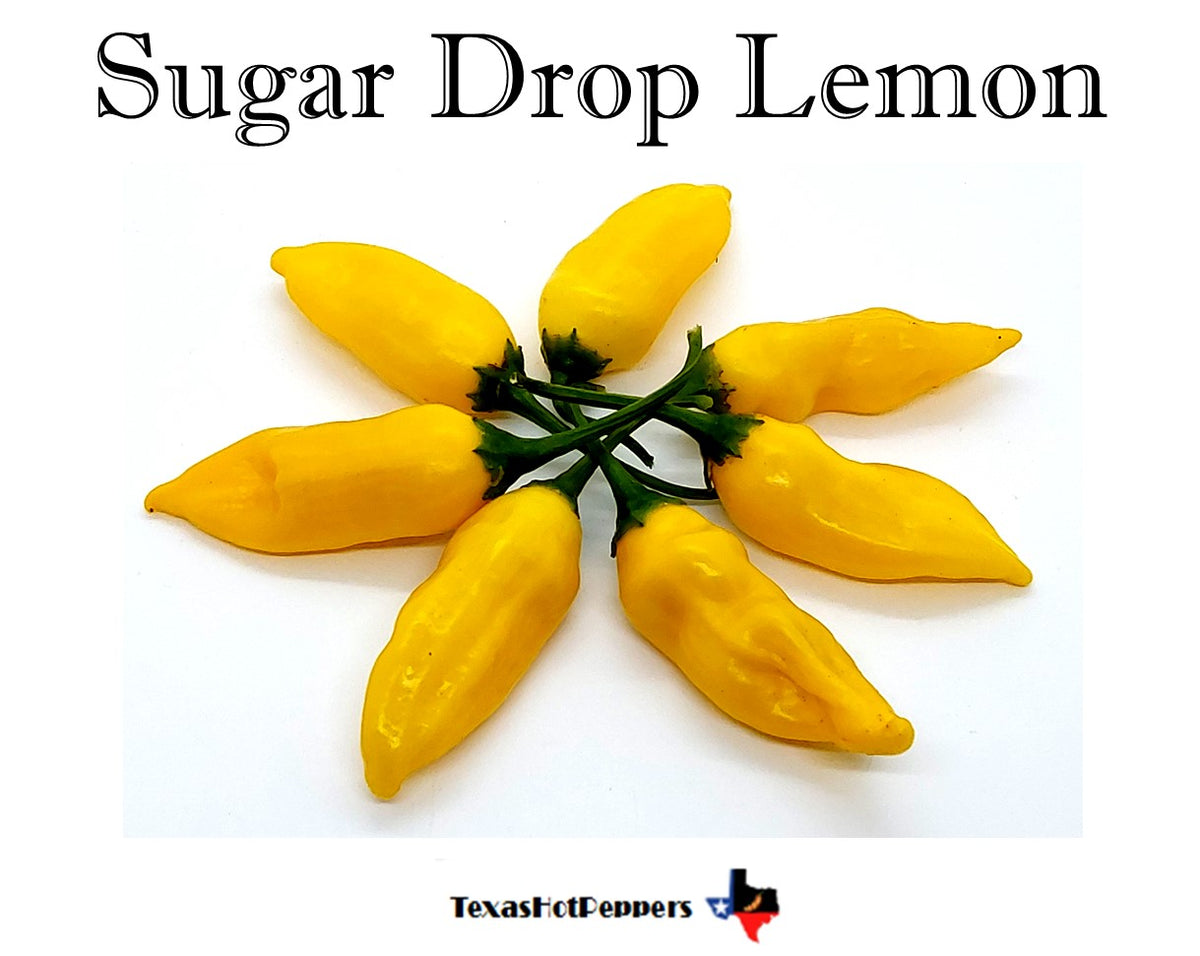 Sugar Drop Lemon – Texas Hot Peppers