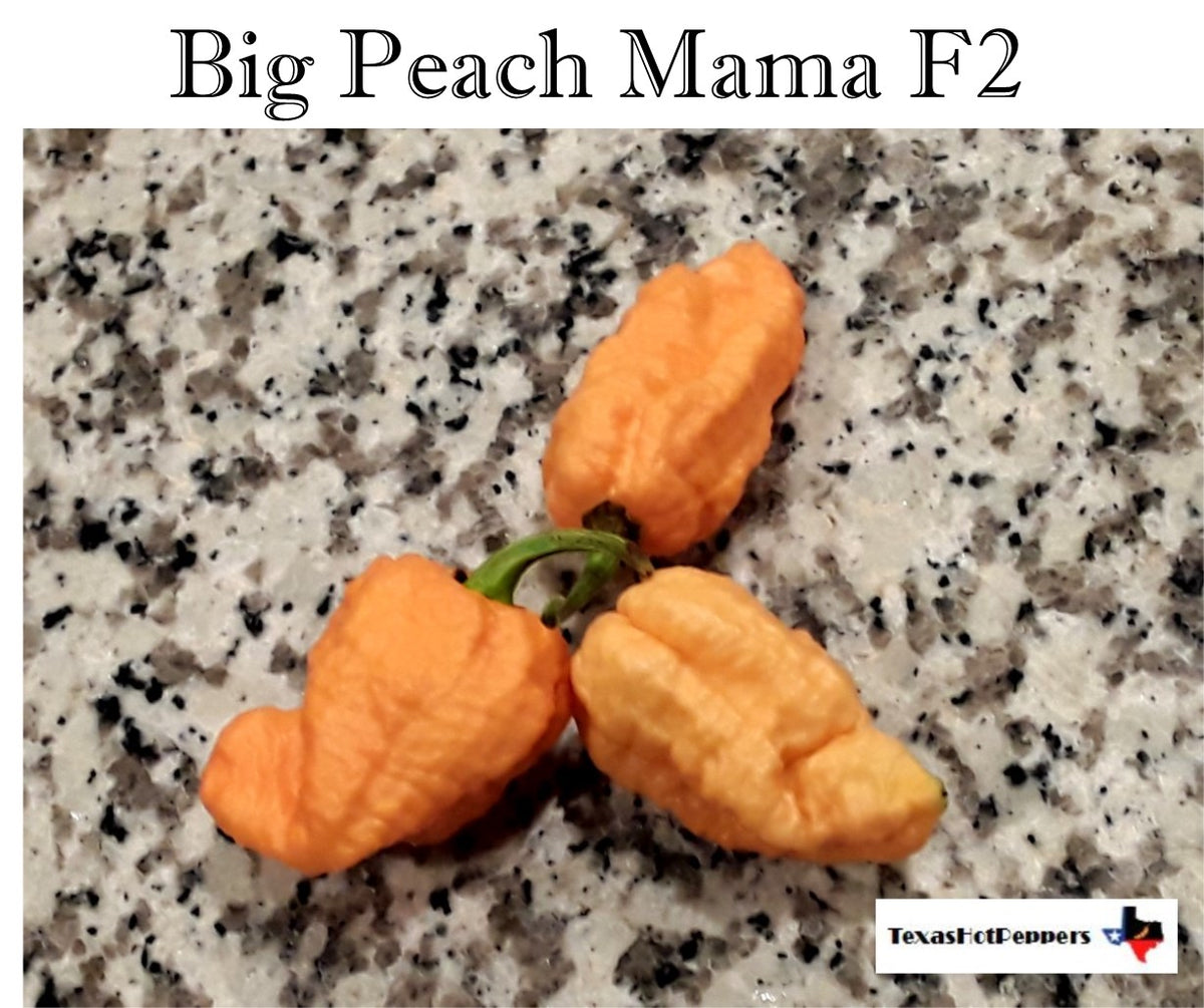 Big_peach_mama_f2_2018_1200x12