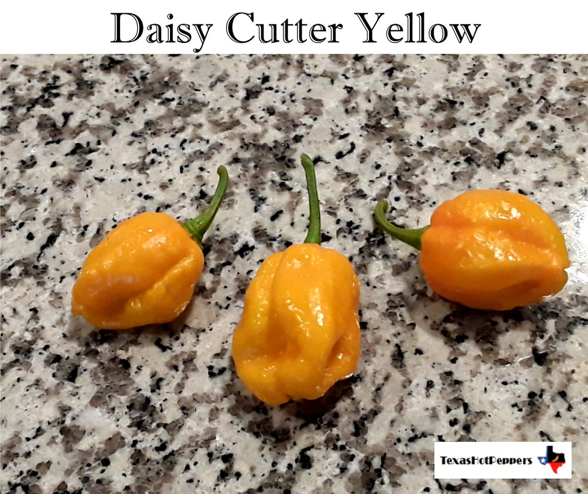 Daisy Cutter Yellow – Texas Hot Peppers