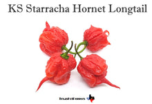 Load image into Gallery viewer, KS Starracha Hornet Longtail