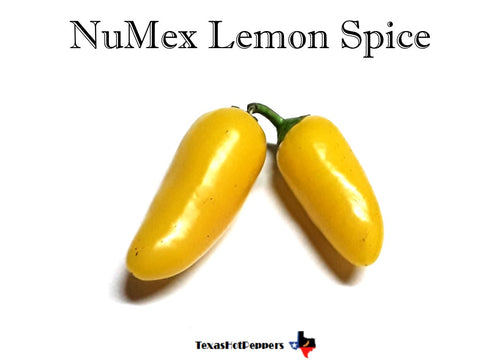 NuMex Lemon Spice