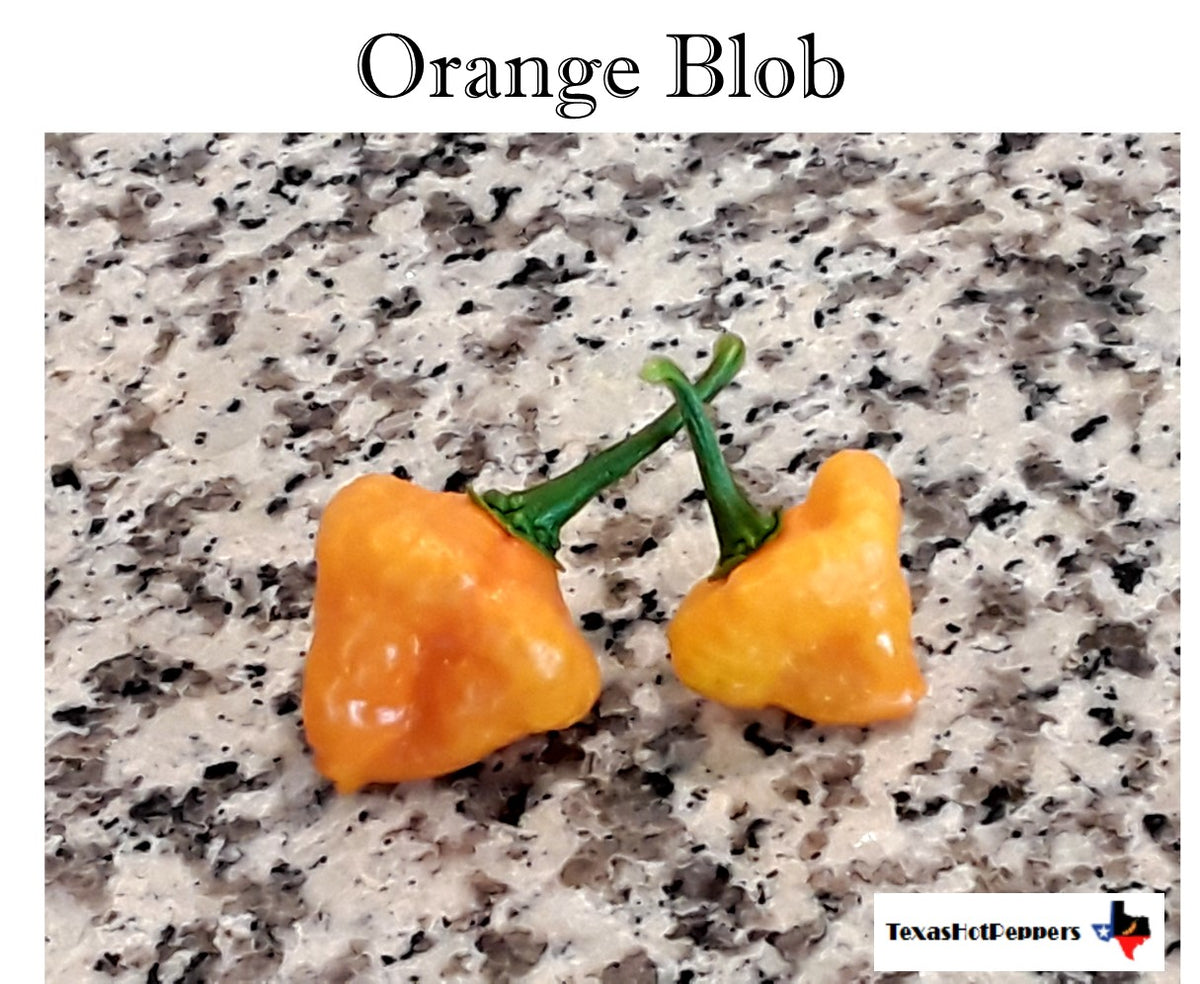 Orange Blob – Texas Hot Peppers