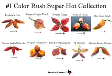 Load image into Gallery viewer, Color Rush Super Hot Seed Collections - 3 different collections of 10 varieties each!