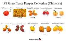Load image into Gallery viewer, #2 Great Taste Chinense Pepper Seed Collection - 10 Different Varieties!