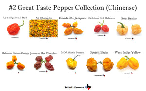 #2 Great Taste Chinense Pepper Seed Collection - 10 Different Varieties!