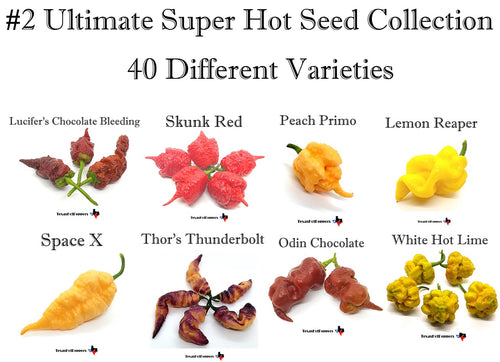 #2 Ultimate Super Hot Seed Collection - 40 Different Scorching Hot Varieties!