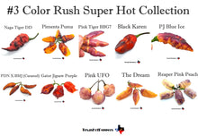 Load image into Gallery viewer, Color Rush Super Hot Seed Collections - 3 different collections of 10 varieties each!