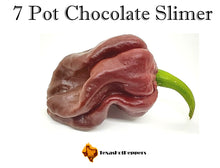 Load image into Gallery viewer, 7 Pot Chocolate Slimer