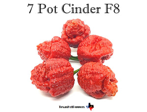 7 Pot Cinder F8