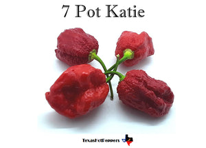 7 Pot Katie