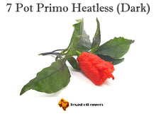 Load image into Gallery viewer, 7 Pot Primo Heatless (Dark)