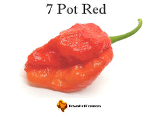 Load image into Gallery viewer, 7 Pot Red
