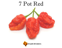 Load image into Gallery viewer, 7 Pot Red