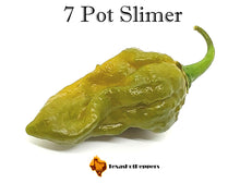 Load image into Gallery viewer, 7 Pot Slimer