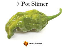 Load image into Gallery viewer, 7 Pot Slimer