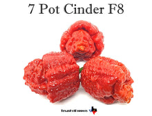 Load image into Gallery viewer, 7 Pot Cinder F8