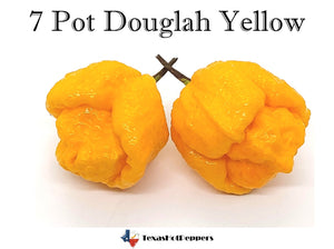 7 Pot Douglah Yellow