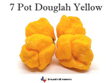 Load image into Gallery viewer, 7 Pot Douglah Yellow