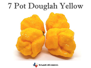 7 Pot Douglah Yellow